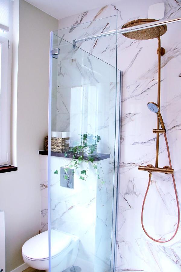 Luxueux Avec Jacuzzi Privatif Apartment *